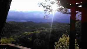 A view from a balcony overlooking a forested valley with a distant mountain range. - Secluded and Private Cabin with Amazing Views.  Hot tub and WiFi. (Lansing)