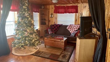 Smart TV, fireplace, DVD player, books