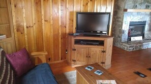 Smart TV, fireplace, DVD player, books