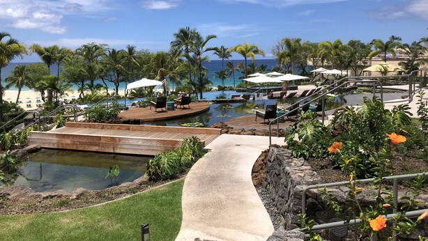A resort pool area with a view of the ocean, palm trees, and lounge chairs. - NEWLY RENOVATED Popular Mauna Kea Condo - Spectacular Panoramic Ocean Views (Waimea)