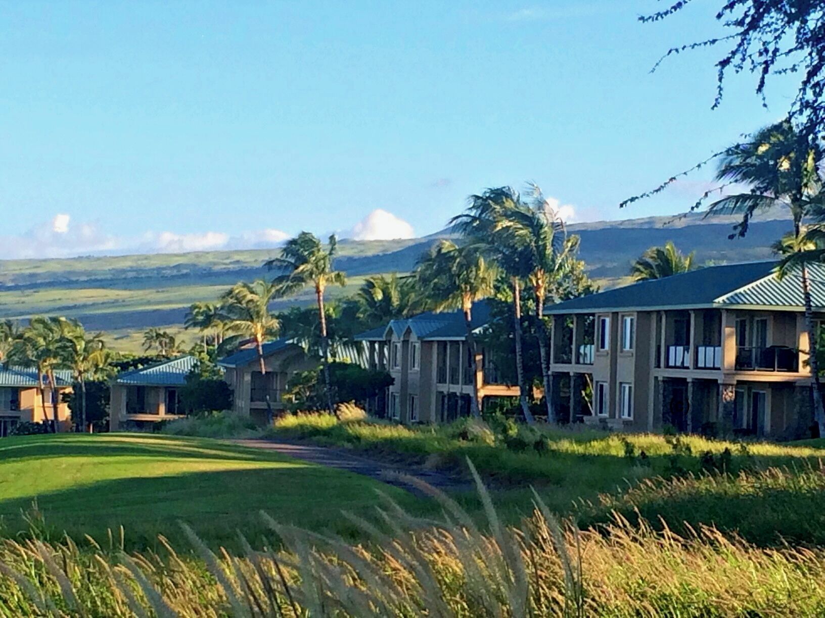 Un resort con varias edificaciones, un césped cuidado y palmeras.