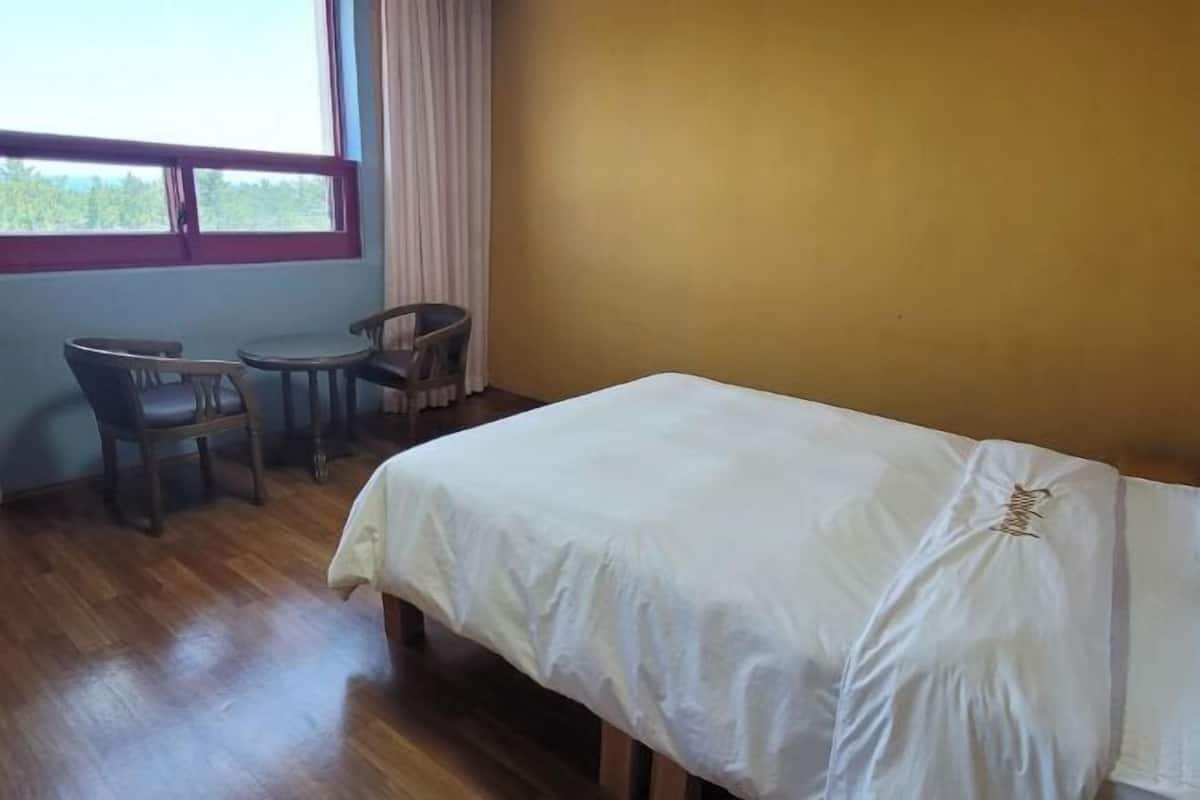 1 slaapkamer, gratis wifi, beddengoed