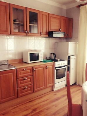 Comfort Apartment, Multiple Beds, Non Smoking | Private kitchenette | Fridge, microwave, electric kettle - Bilguun's Superior Location Apartment (Ulaanbaatar)