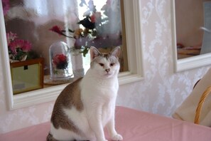 Exterior - Putit Hotel Fromage (Ito)