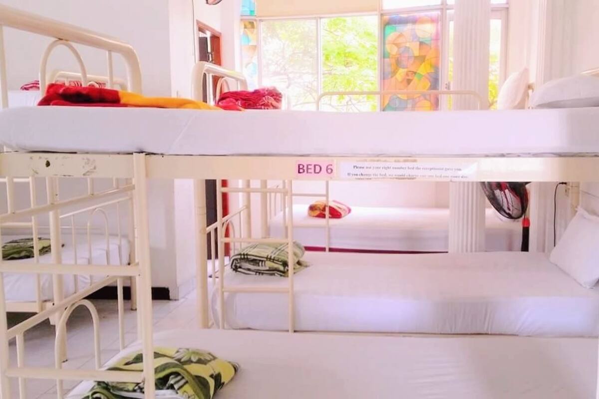 Shared Dormitory, Mixed Dorm (Bed in 10-bed) | Langsir/tirai gelap terus, Wi-fi percuma, cadar katil