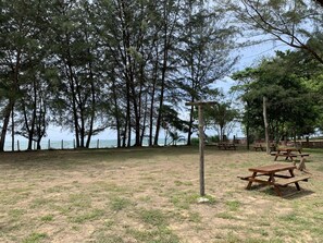 Garden - (Cherating)