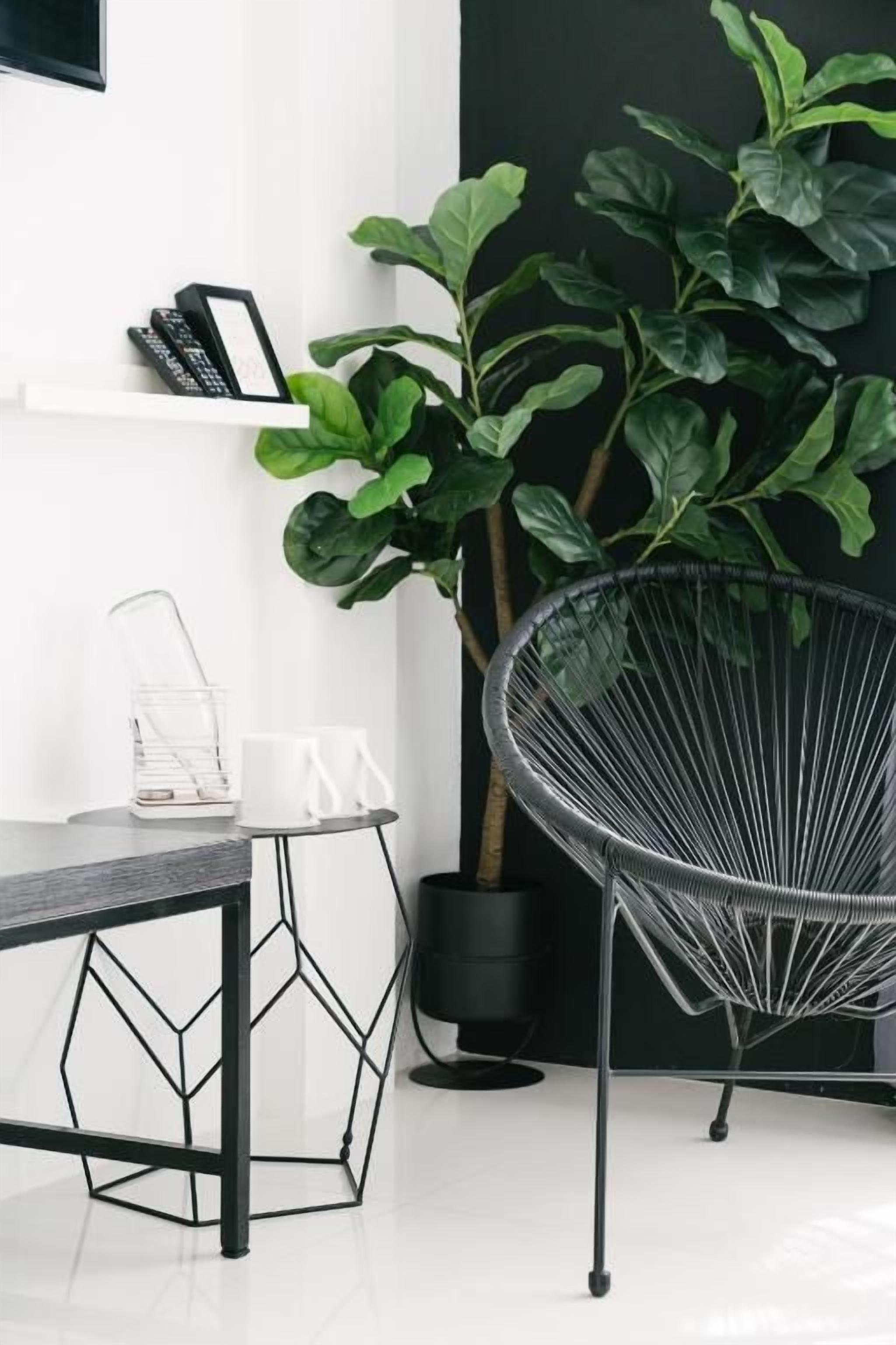 Una habitación moderna con una silla de alambre negra, una mesa blanca y una planta verde grande.