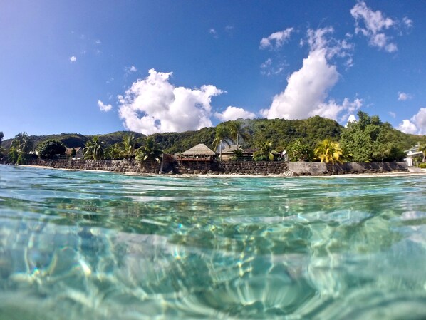 View from property - Marama Lodge Tahiti (Punaauia)