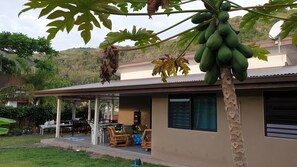 Front of property - Marama Lodge Tahiti (Punaauia)