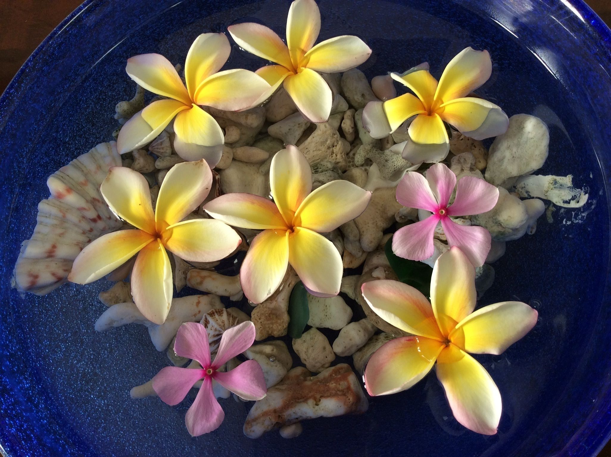 A blue bowl containing yellow and pink flowers and white seashells.