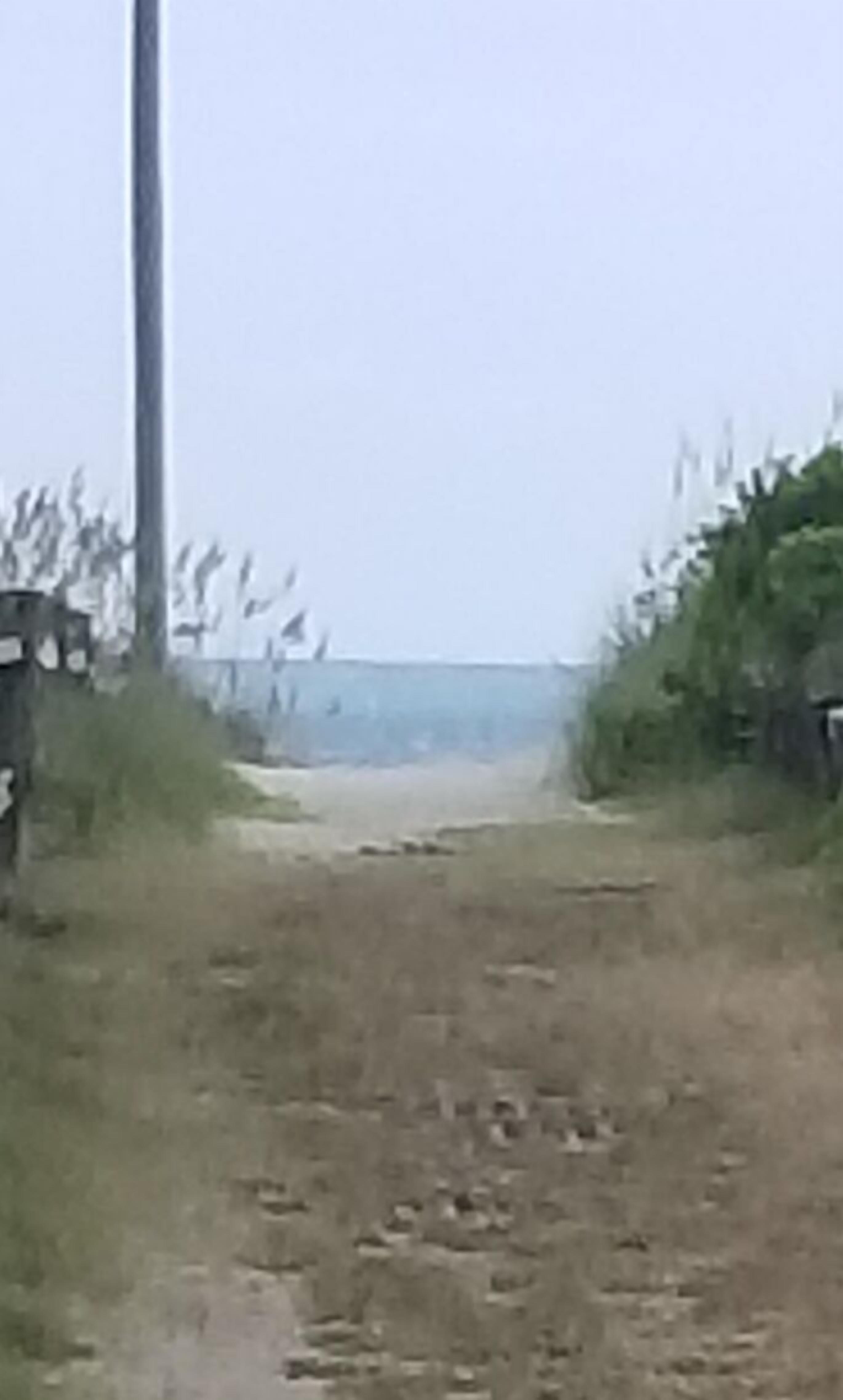 Un sendero de tierra que lleva a una playa con vistas al océano.