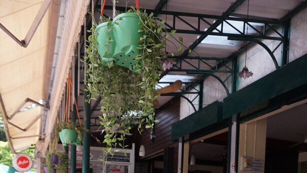 An outdoor seating area with tables and chairs, potted plants, and hanging planters. - Bella Bella House (Bangkok)