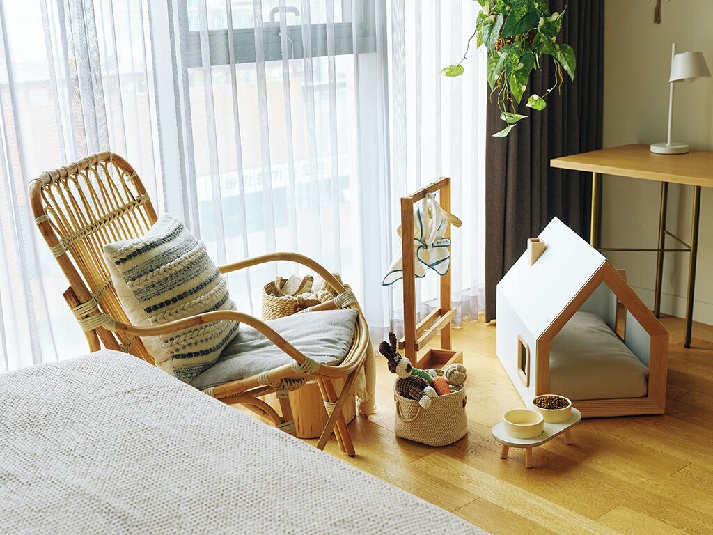 A cozy room with a wicker chair, a small house-shaped bed, a hanging plant, a wooden table, and a basket with toys.