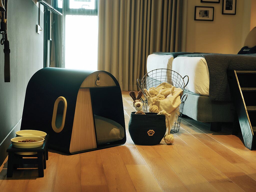 A pet bed, a wire basket with toys, and a pet bowl in a room with a bed and curtains.