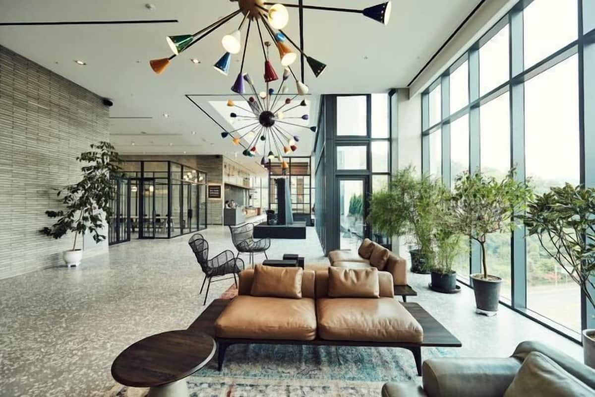 Lobi