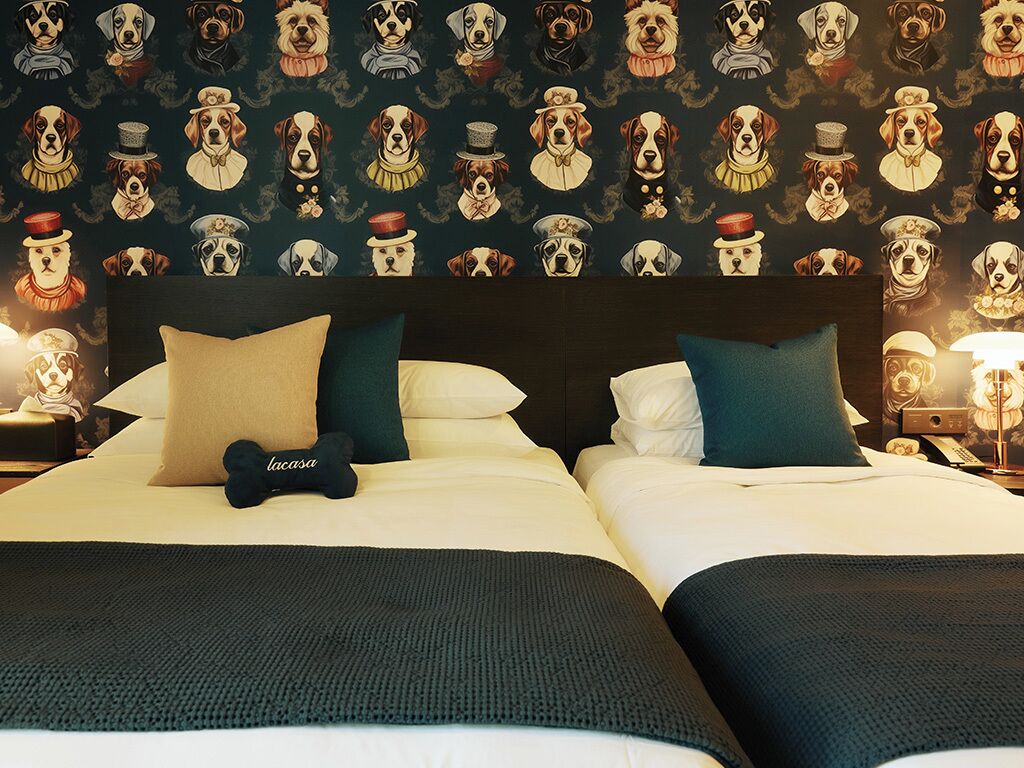 In-room safe, desk, blackout curtains, soundproofing