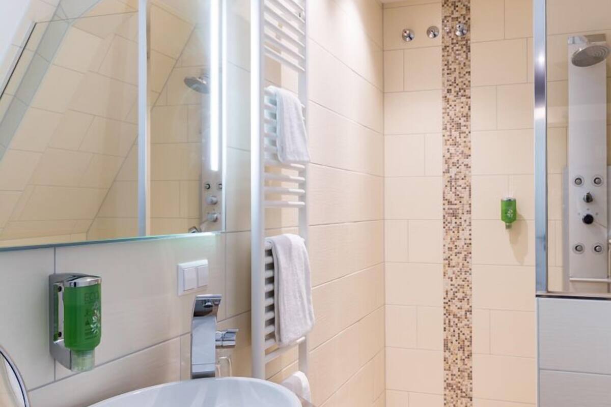 executive double room, 2 single beds, non smoking | bathroom | shower, free toiletries, hair dryer, towels