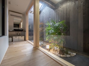 A modern interior with a wooden floor, a large window, and a potted plant.