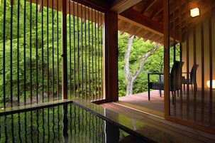 Suíte premium, banheiro privativo, em edifício anexo (with Private Open-air Bath, KATSURA) | Vista do quarto