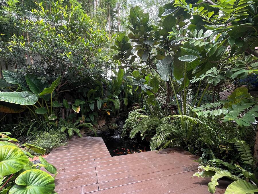 Jardim