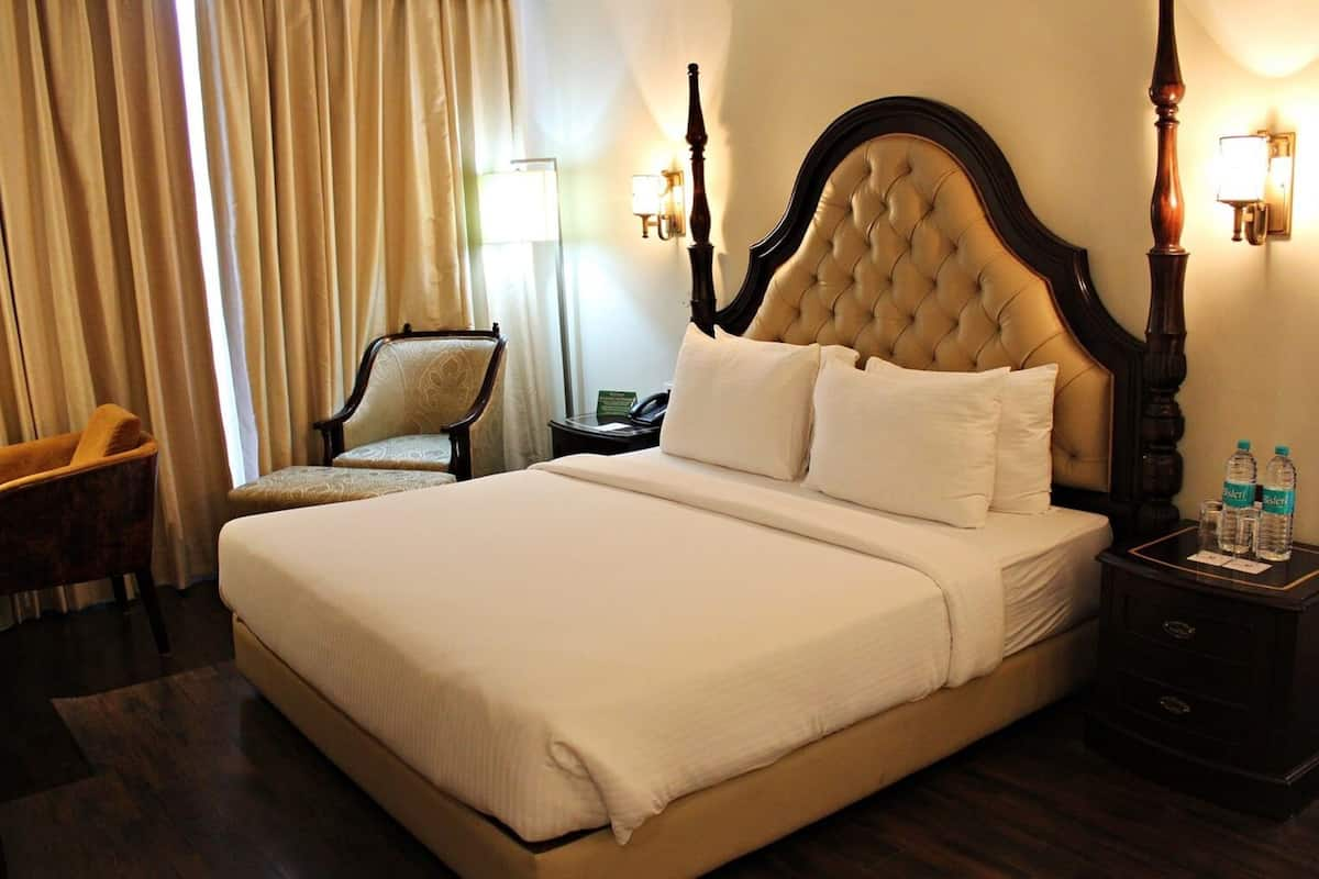 Basic Suite, 1 King Bed, Accessible | View from room