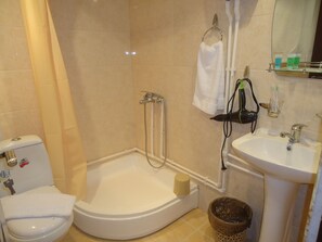 Features a toilet, sink, and shower with a glass door.