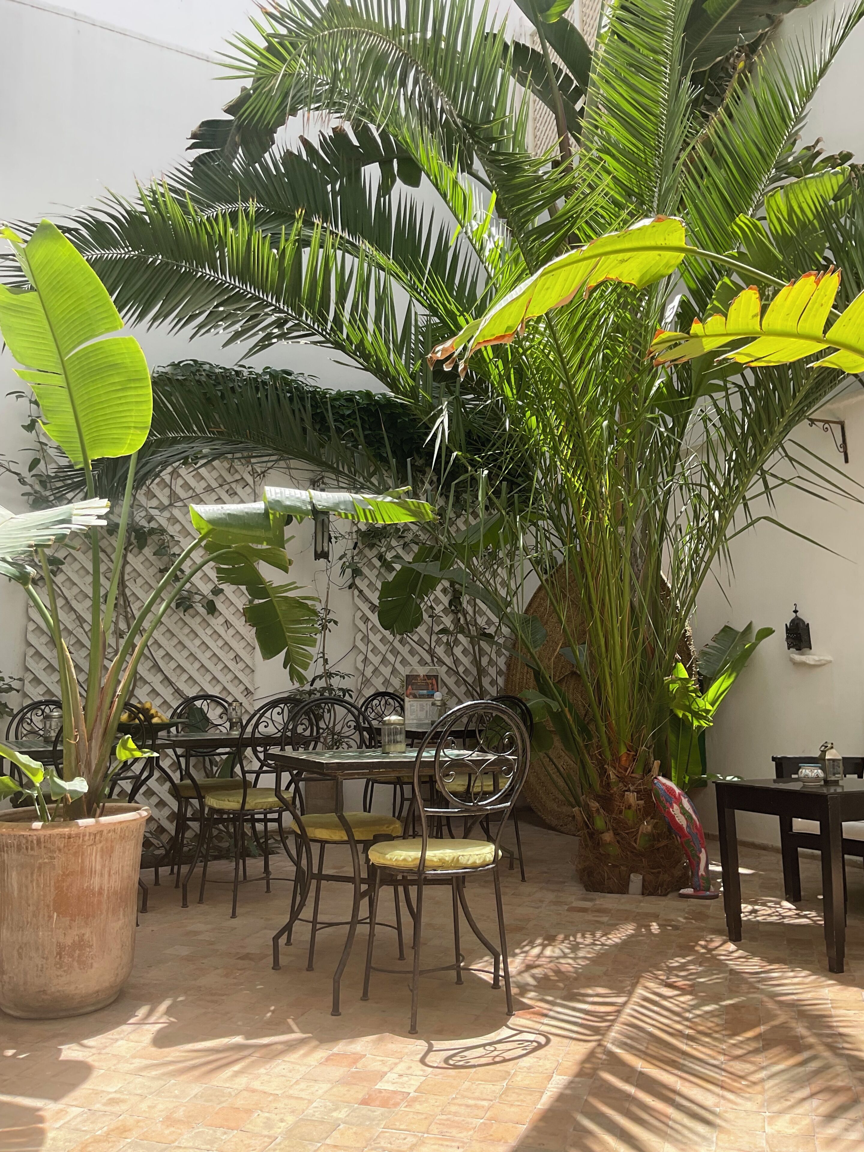 A patio area with a table and chairs, surrounded by large tropical plants.