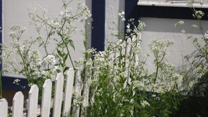 Una cerca blanca con flores blancas frente a un edificio con detalles oscuros azules y una ventana.