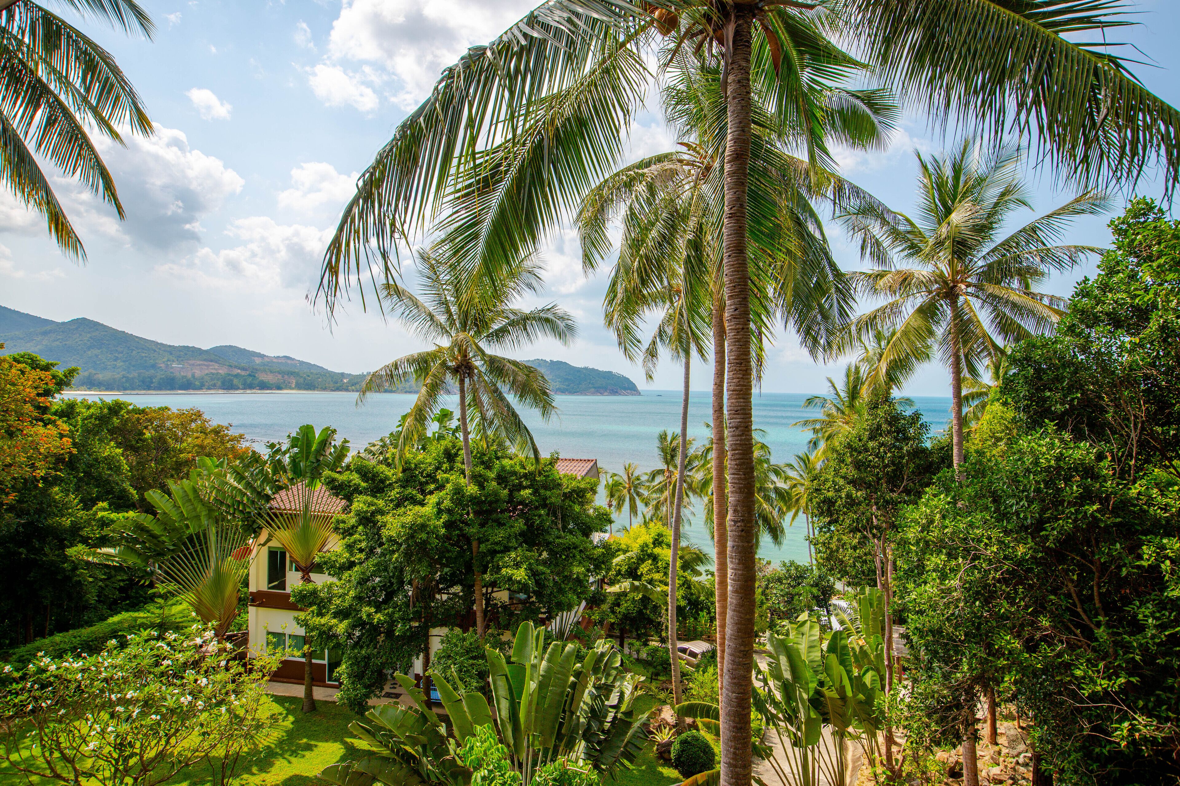 Beach Suite Sea View Apartment | 海灘/海景