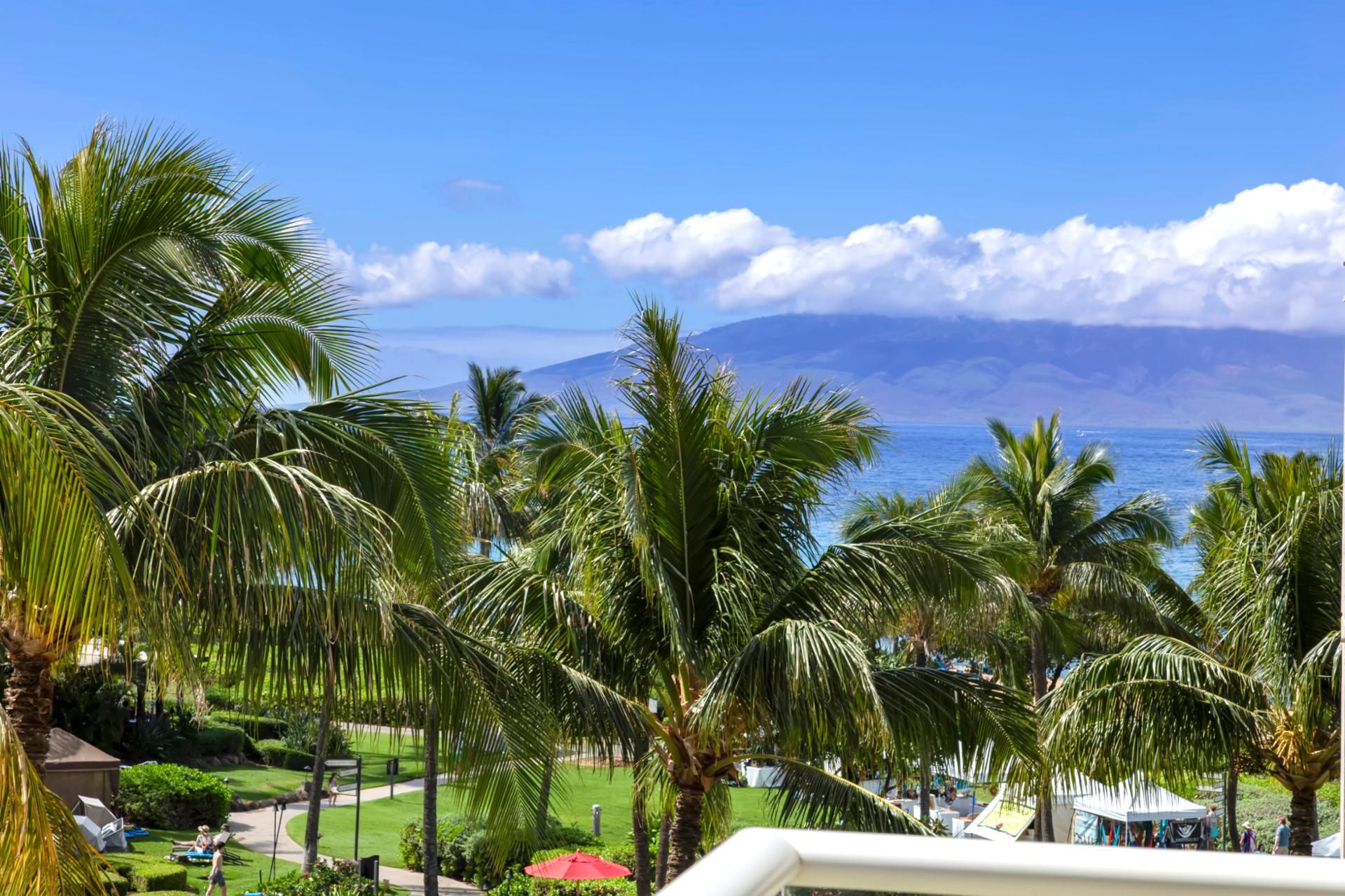 A resort with palm trees, a view of the ocean, and a mountain in the background.