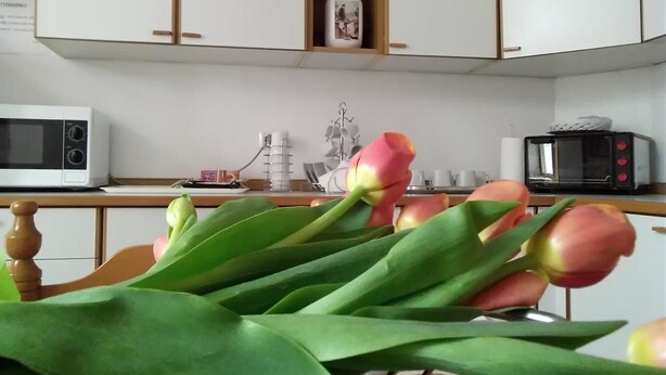 Una cocina con armarios blancos, microondas y tostadora. Hay tulipanes en primer plano.