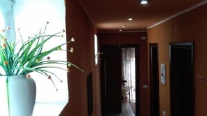 Un pasillo con un ventanal grande a la izquierda, una planta en maceta y una alfombra a rayas.