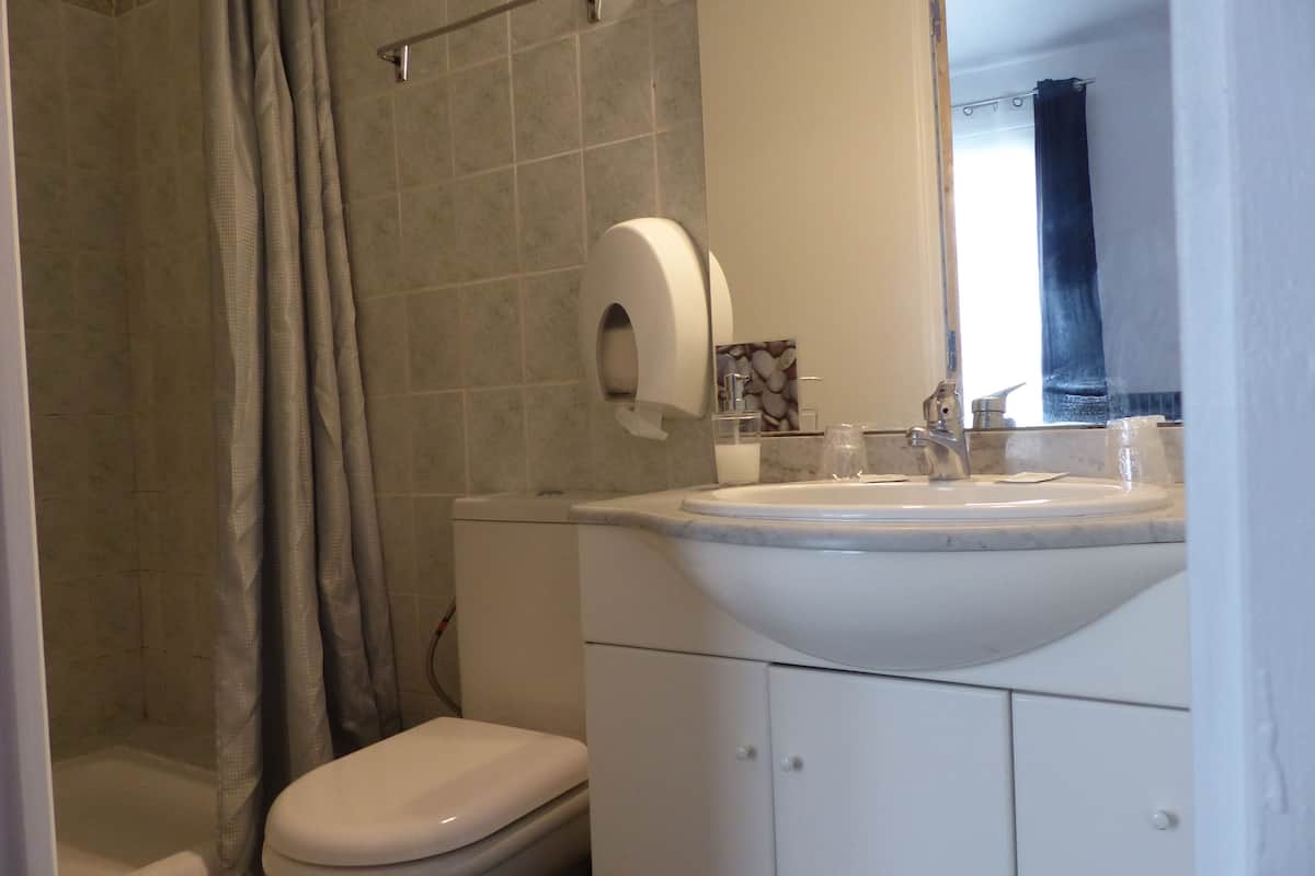 shower, free toiletries, hair dryer, towels