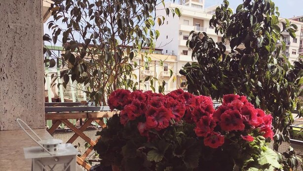 A potted plant with red flowers and a metal lantern on a balcony. - B&B La Peonia (Reggio Calabria)