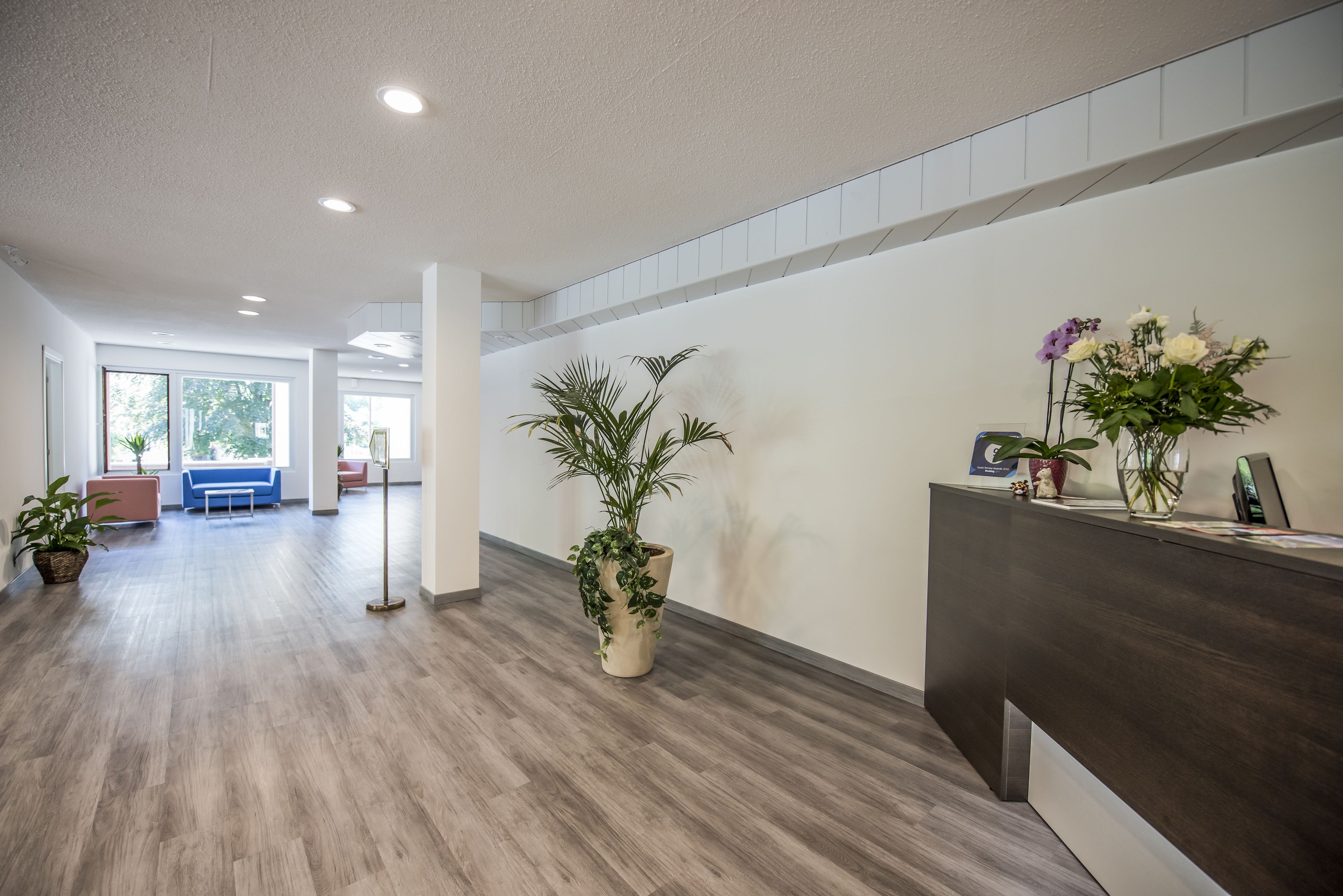 A reception area with a wooden floor, a reception desk, and potted plants.