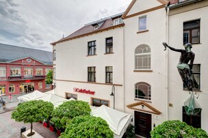 Deluxe Apartment (10 occupants ) | View from property