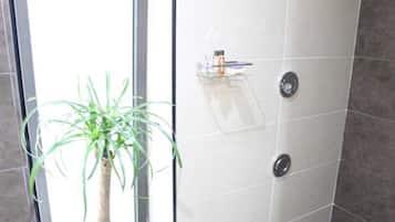 Ducha en el baño