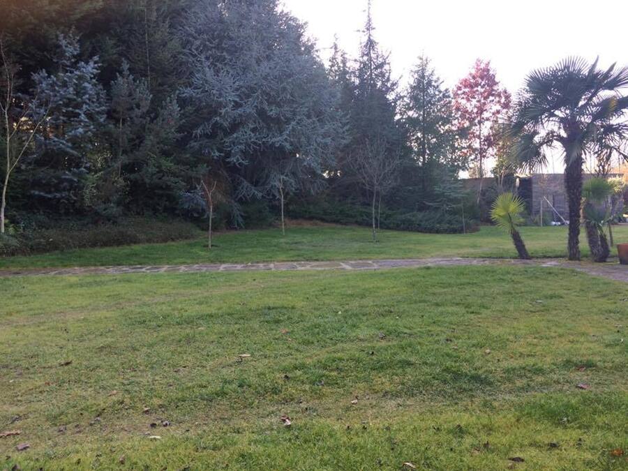 Une zone herbeuse avec des arbres et un sentier en pierre.