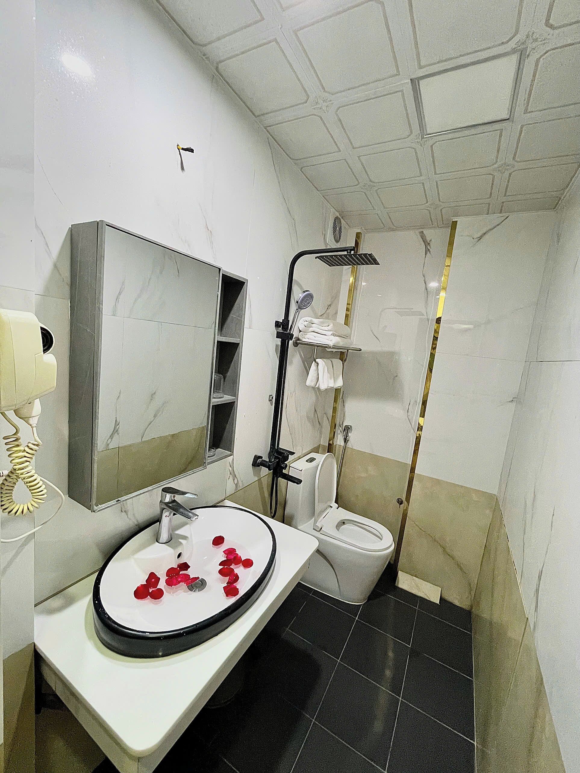 Une salle de bain avec un lavabo blanc, un miroir, une douche et des toilettes.