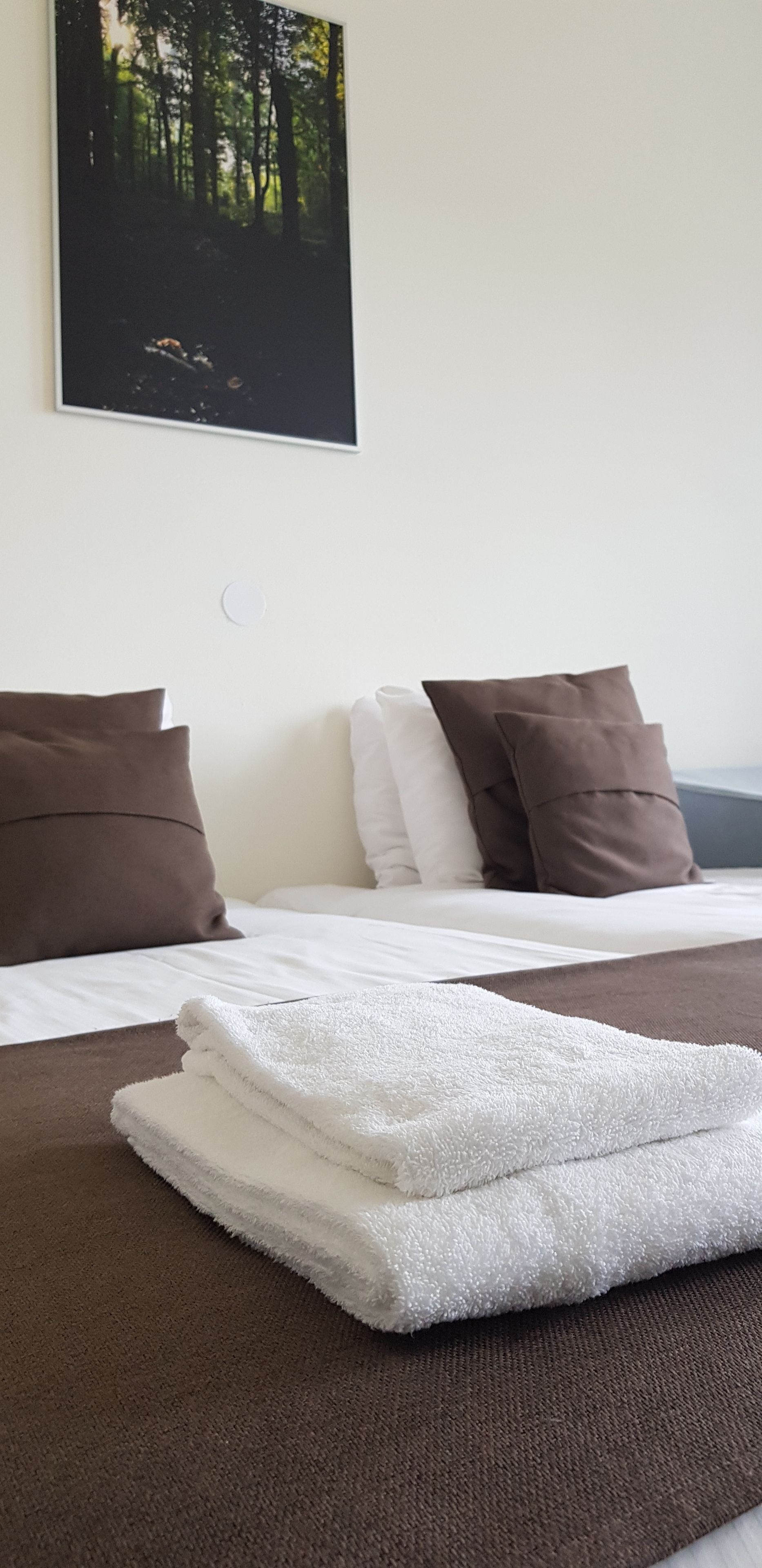 standard double room | premium bedding, blackout curtains, iron/ironing board, free wifi