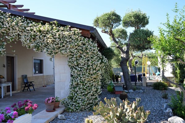 Enceinte de l’hébergement