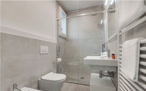 Shower, hair dryer, bidet, towels