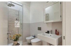 Shower, hair dryer, bidet, towels
