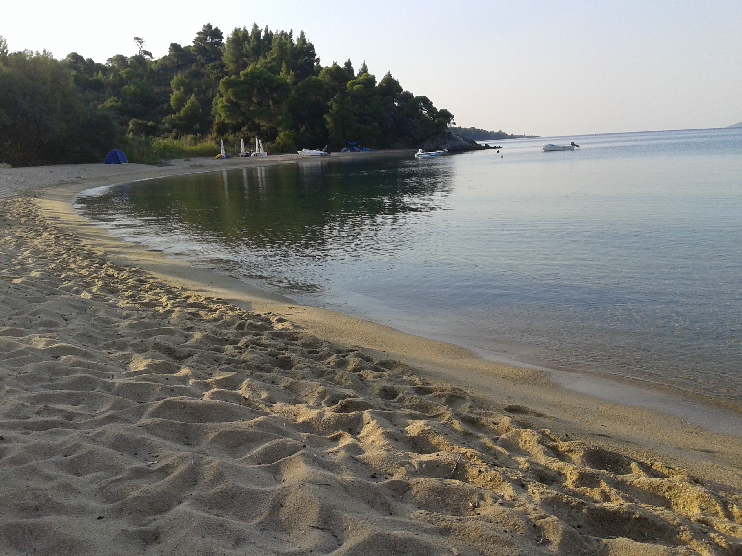 Una playa con orilla arenosa, agua tranquila y una colina boscosa al fondo.