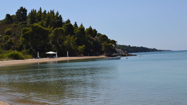 Una playa con una fila de sillas y sombrillas, un bote en el agua y una colina boscosa al fondo.