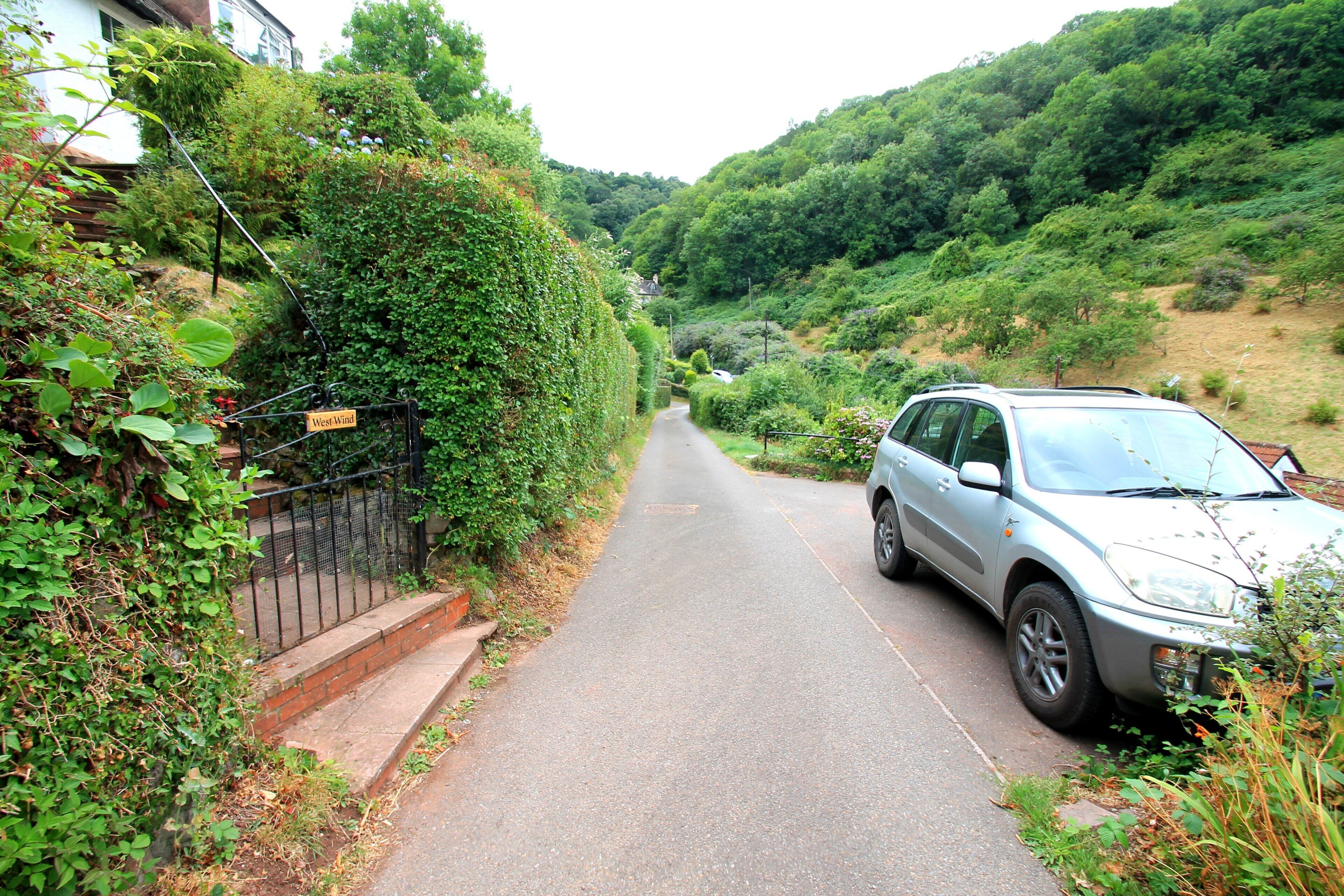 A narrow road flanked by lush greenery and a parked car.