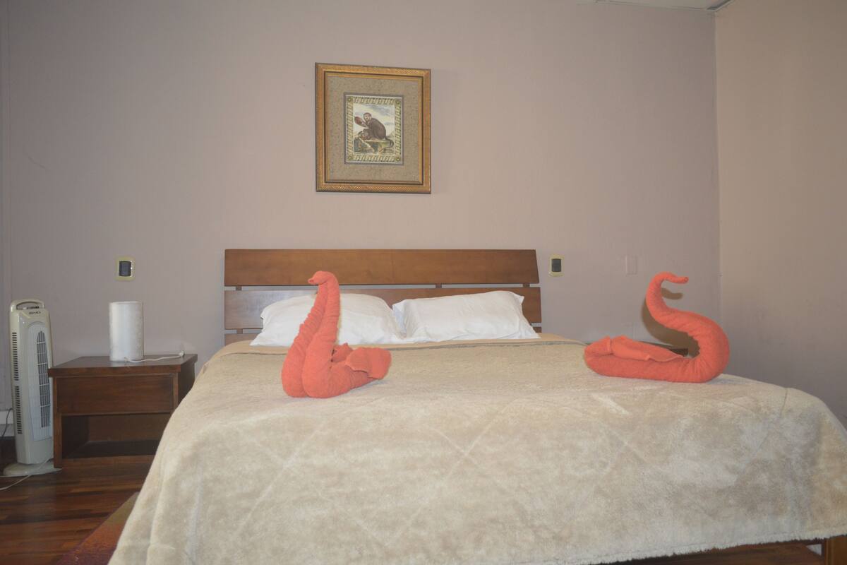Suite Supérieure, 1 lit double, non-fumeurs | Couette en duvet d'oie, rideaux occultants, fer et planche à repasser