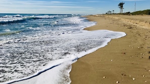 A beach with waves, a sandy shore, and a few palm trees.