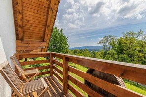 Property grounds - Studio in the vineyards (Novo Mesto)