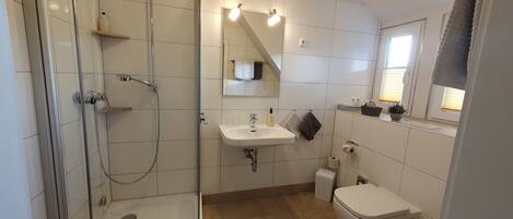 A modern bathroom with a glass-enclosed shower, a sink with a mirror above, and a toilet.